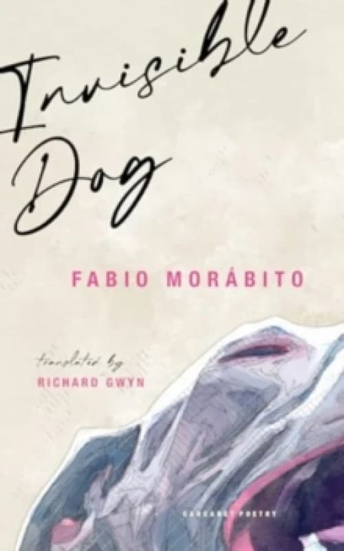 Invisible Dog Paperback / softback