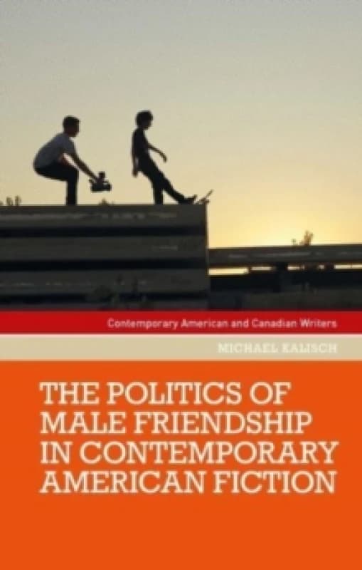 The Politics of Male Friendship in Contemporary American Fiction Paperback / softback