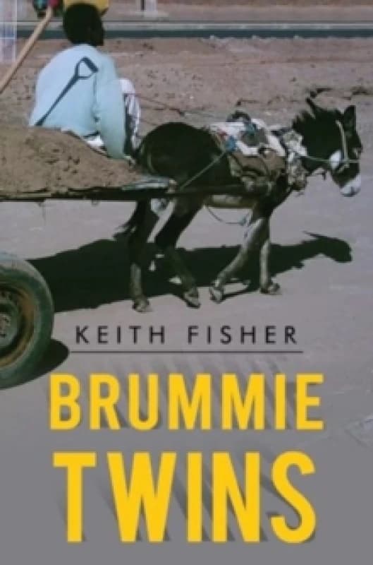 Brummie Twins Paperback / softback