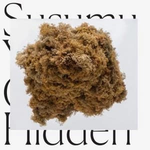 Susumu Yokota - Cloud Hidden Vinyl