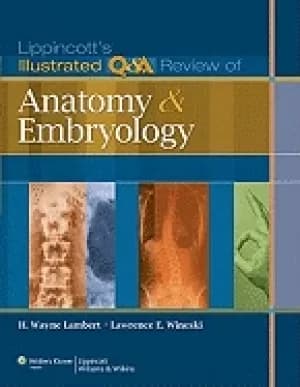 lippincotts illustrated q and a review of anatomy and embryology