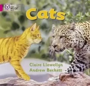Cats by Claire Llewellyn