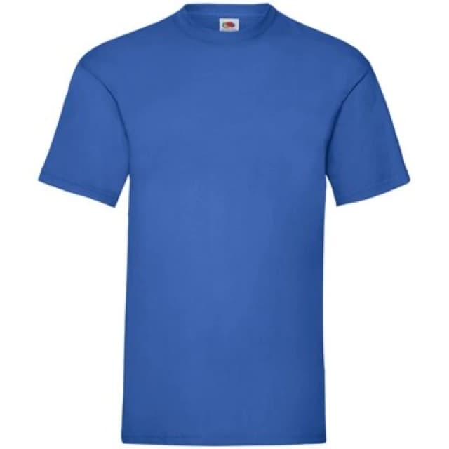 Fruit Of The Loom Fruit of the Loom Men Valueweight T-Shirt in Blue Size: large Blue L Male 5063652785928
