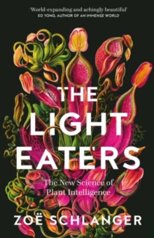 The Light Eaters. Hardback. By Zoe Schlanger Books