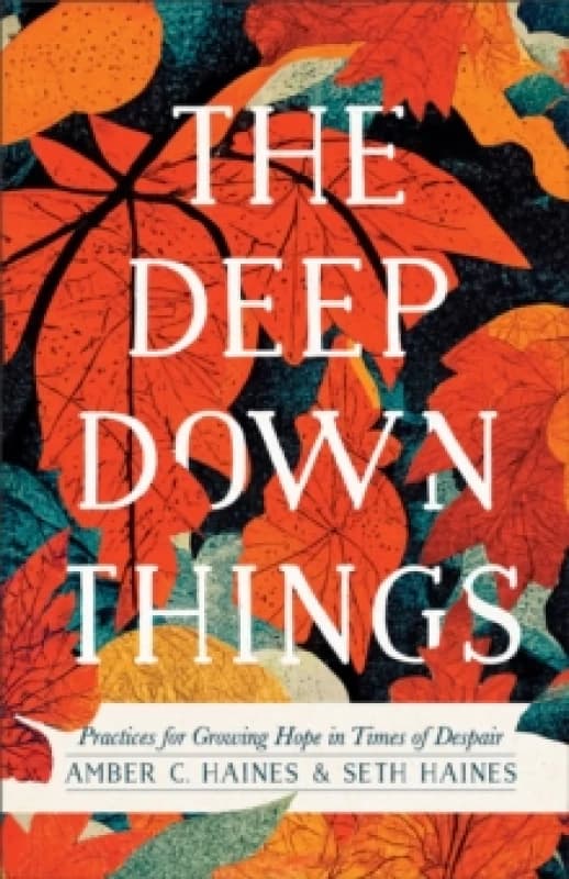 The Deep Down Things Practices for Growing Hope in Times of Despair Paperback / softback