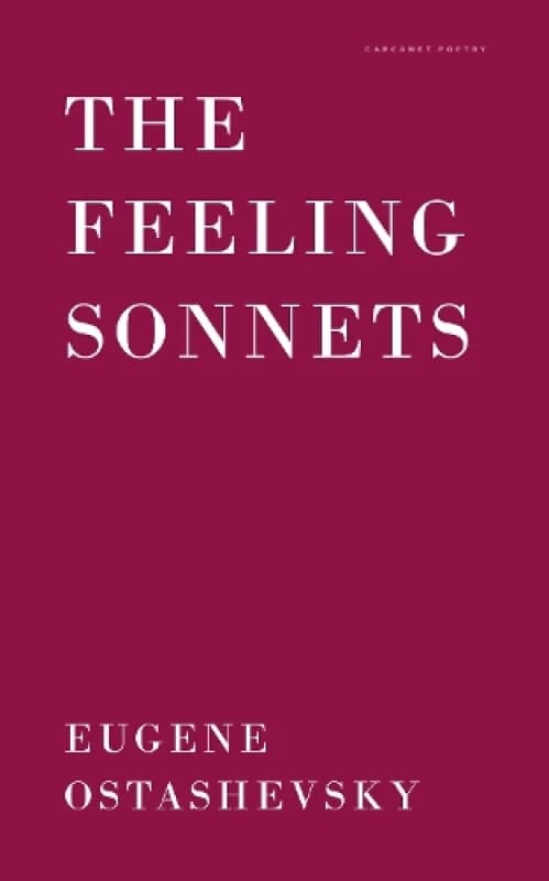 The Feeling Sonnets Paperback / softback