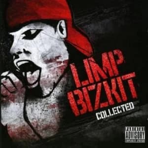 The Collection by Limp Bizkit CD Album