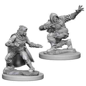 Pathfinder Deep Cuts Unpainted Miniatures (W1) Human Male Rogue