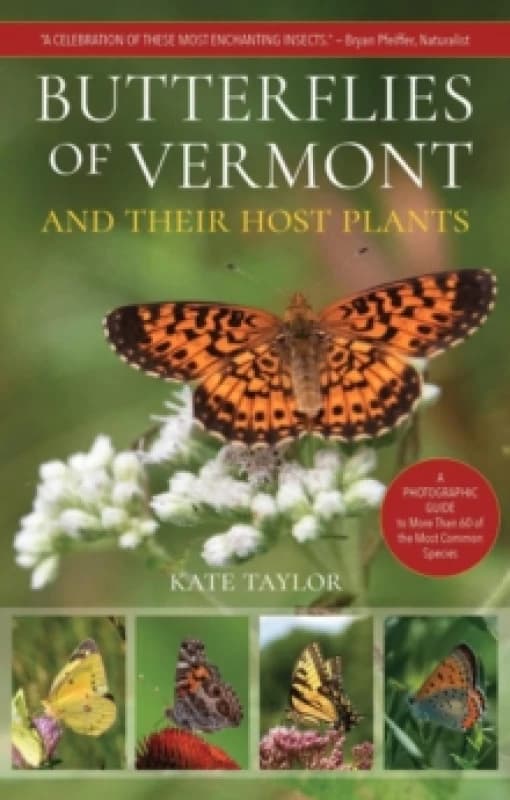 Butterflies of Vermont Paperback / softback
