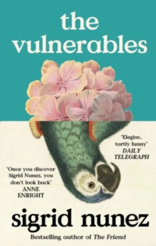 The Vulnerables. Paperback. By Sigrid Nunez Books