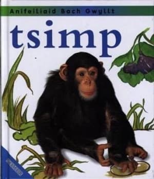 Tsimp by Jinny Johnson Hardback