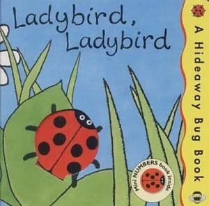 Ladybird Ladybird by Annie Horwood Hardback