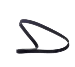 RIDEX V-ribbed belt BMW,FORD,FIAT 305P0015 11287512762,11287512971,128025 128027,5750V0,5750XV,46451652,46542303,7743660,7799581,7007791,V94BF6C301BA