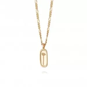 Daisy Flower 18ct Gold Plated Necklace FN03_GP