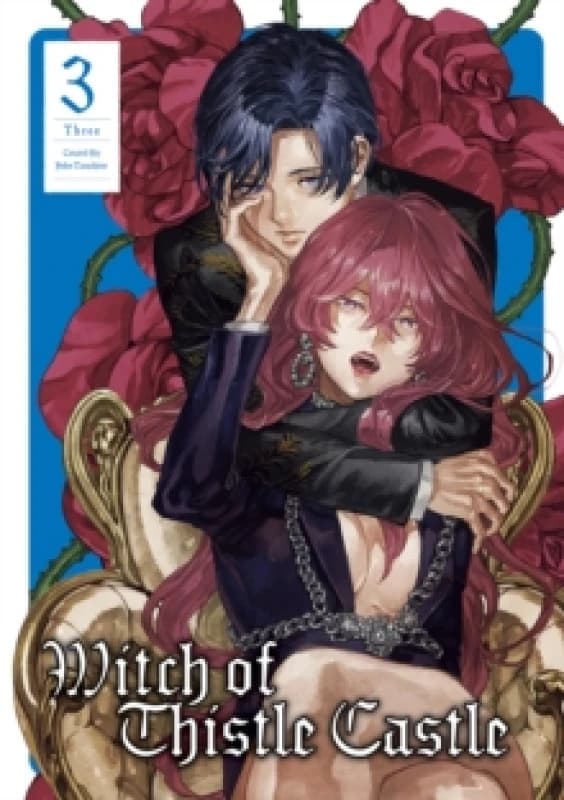 Witch of Thistle Castle Vol.3 : 3 Paperback / softback