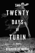 twenty days of turin a novel