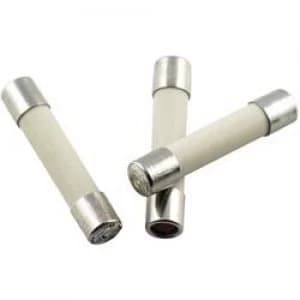 Micro fuse x L 5mm x 25mm 1.6 A 250 V Medium time lag mT