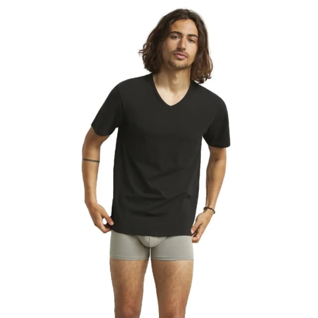 Dim Pack of 2 Regul'Activ V-Neck T-Shirts Black Men S;L