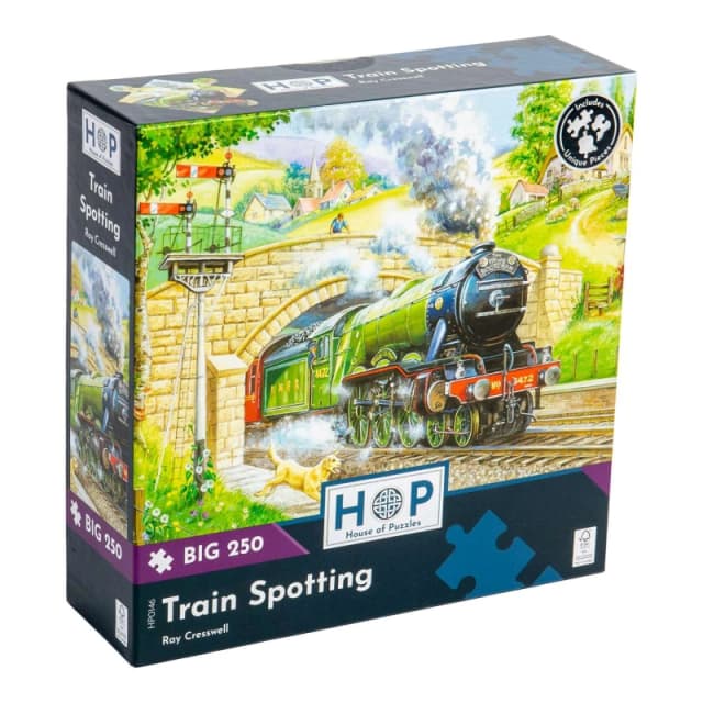 The House Of Puzzles, Train Spotting, Big 250 Piece Jigsaw Puzzle, Multi HP0146