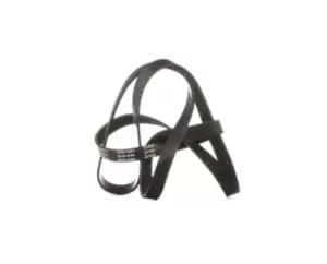 RIDEX V-ribbed belt AUDI,BMW,OPEL 305P0142 06C903137E,96309968,96309968 Serpentine belt,Auxiliary belt,Poly V-belt,Ribbed belt,Multi V-belt,Poly belt