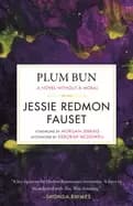 plum bun a novel without a moral