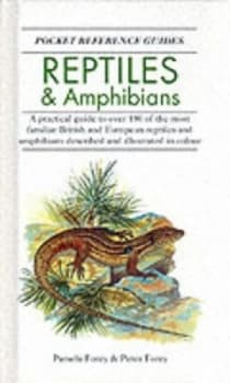 Reptiles and Amphibians by Pamela Forey and Peter L Forey Hardback
