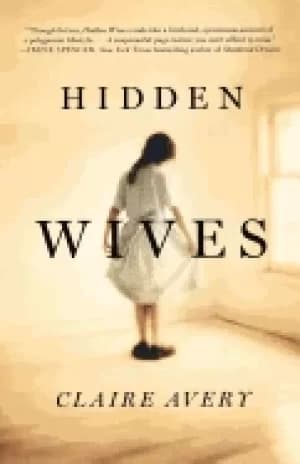 hidden wives a novel