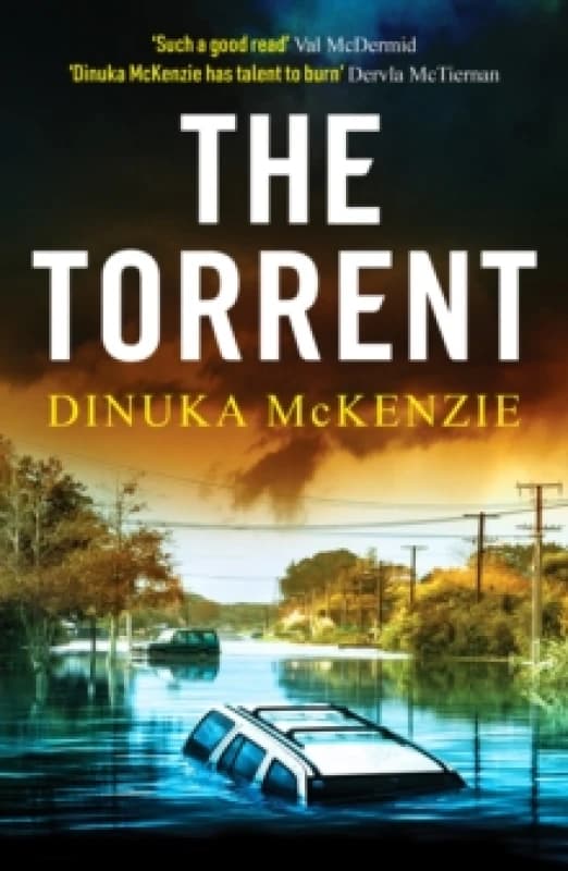 The Torrent : An unputdownable Australian crime thriller Paperback / softback