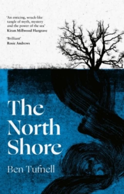The North Shore. Paperback. By Ben Tufnell Books