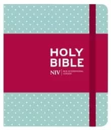 NIV Journalling Mint Polka Dot Cloth Bible