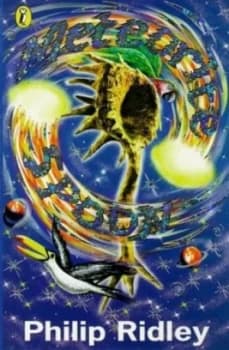 Meteorite Spoon by Philip Ridley and Chris Riddell Paperback