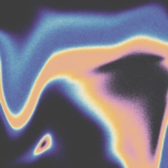 A Companion for the Spaces Between Dreams Vinyl