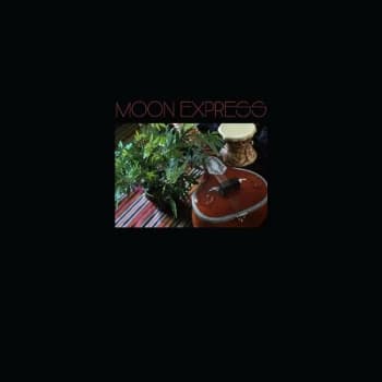 Moon Express Featuring Paul Arnold & Tsvia & The Followers - Prophetic Spirit Vinyl