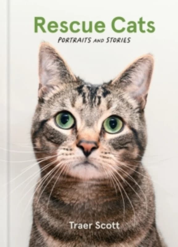 Rescue Cats : Portraits and Stories Hardback