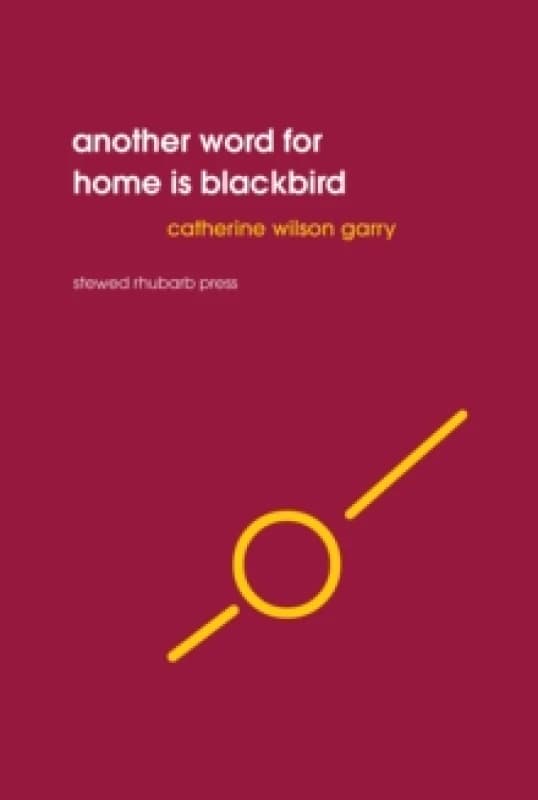 Another word for home is blackbird Paperback / softback