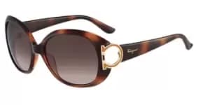Salvatore Ferragamo Sunglasses SF 668S 238