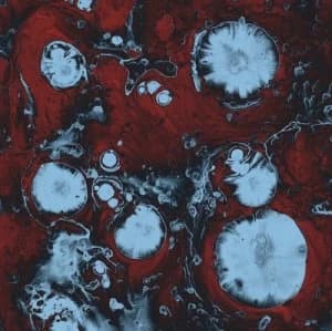 Infinite by The Black Queen CD Album