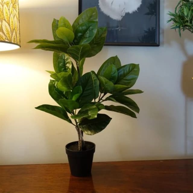 Leaf 65cm Rubber Plant Artificial in Pot Green