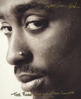 The Rose That Grew from Concrete by Tupac Shakur Hardback