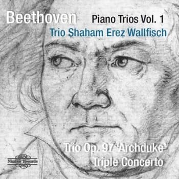 Beethoven Piano Trios Trio Op 9.7" Archduke/Triple Concerto - Volume 1 by Ludwig van Beethoven CD Album