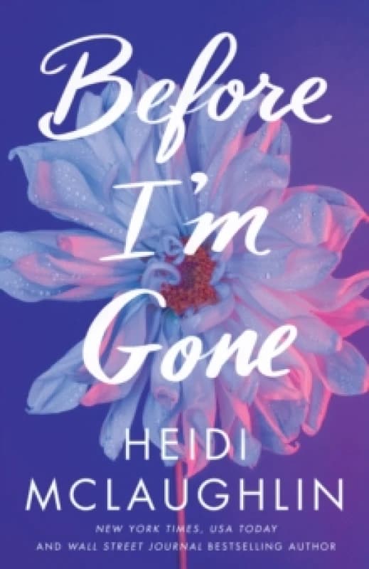 Before I'm Gone Paperback / softback
