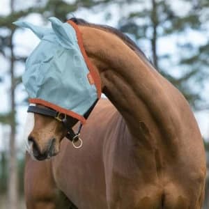 Amigo Fly Mask with Ears - Aqua/Orange