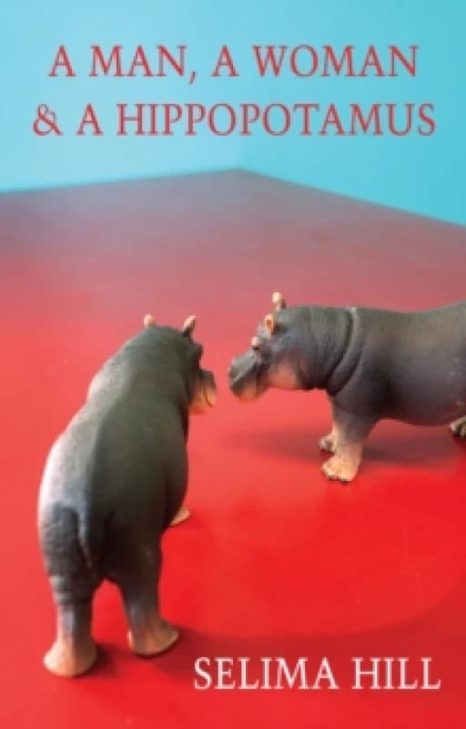 A Man, a Woman & a Hippopotamus Paperback / softback