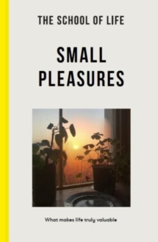 Small Pleasures : What makes life truly valuable Paperback / softback