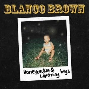 Honeysuckle & Lightning Bugs by Blanco Brown CD Album