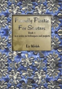 Friendly Plastic for Starters by Liz Welch Paperback