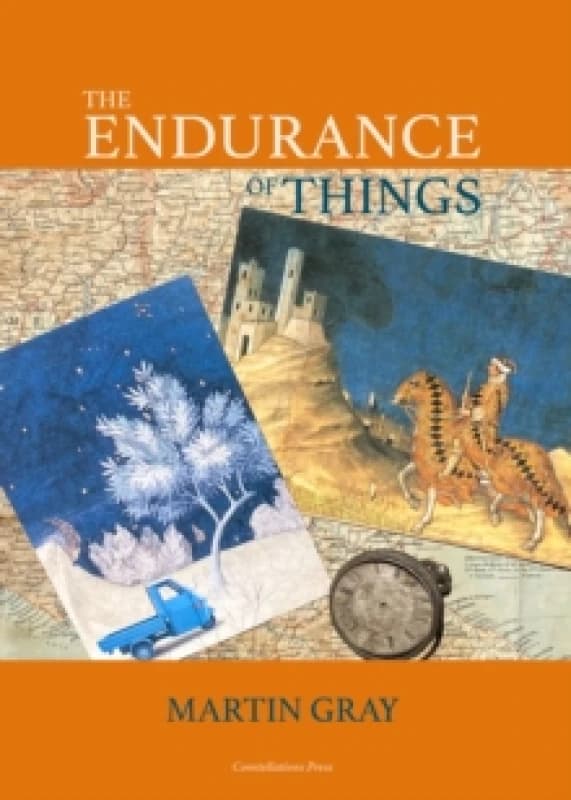 The Endurance of Things Hardback
