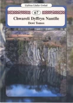 Chwareli Dyffryn Nantlle by Dewi Tomos Book