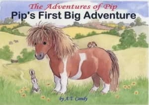 Pips First Big Adventure by A.T Candy and Leigh West Paperback