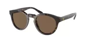 Polo Ralph Lauren Sunglasses PH4184 500373